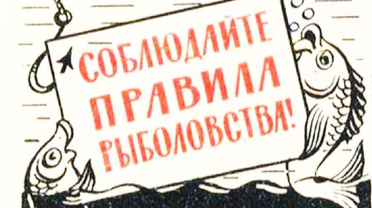 Минприроды Омской области информирует. Минприроды Омской области информирует.